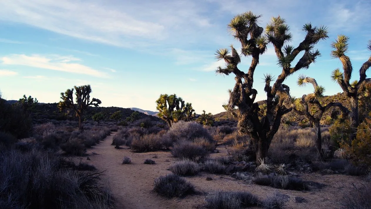 Cash for Cars in Riverside County