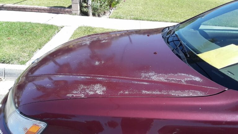 A close-up of a maroon car hood showing white, flaky patches of peeling clear coat and faded paint.
