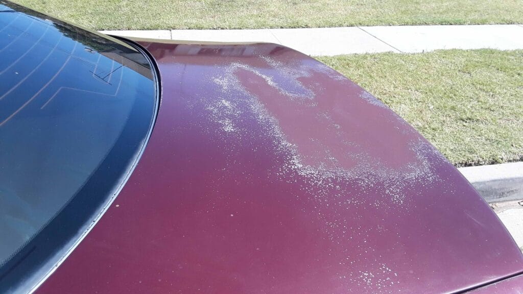 A close-up of a maroon car trunk lid with severe sun damage, showing peeling clear coat and faded base paint.